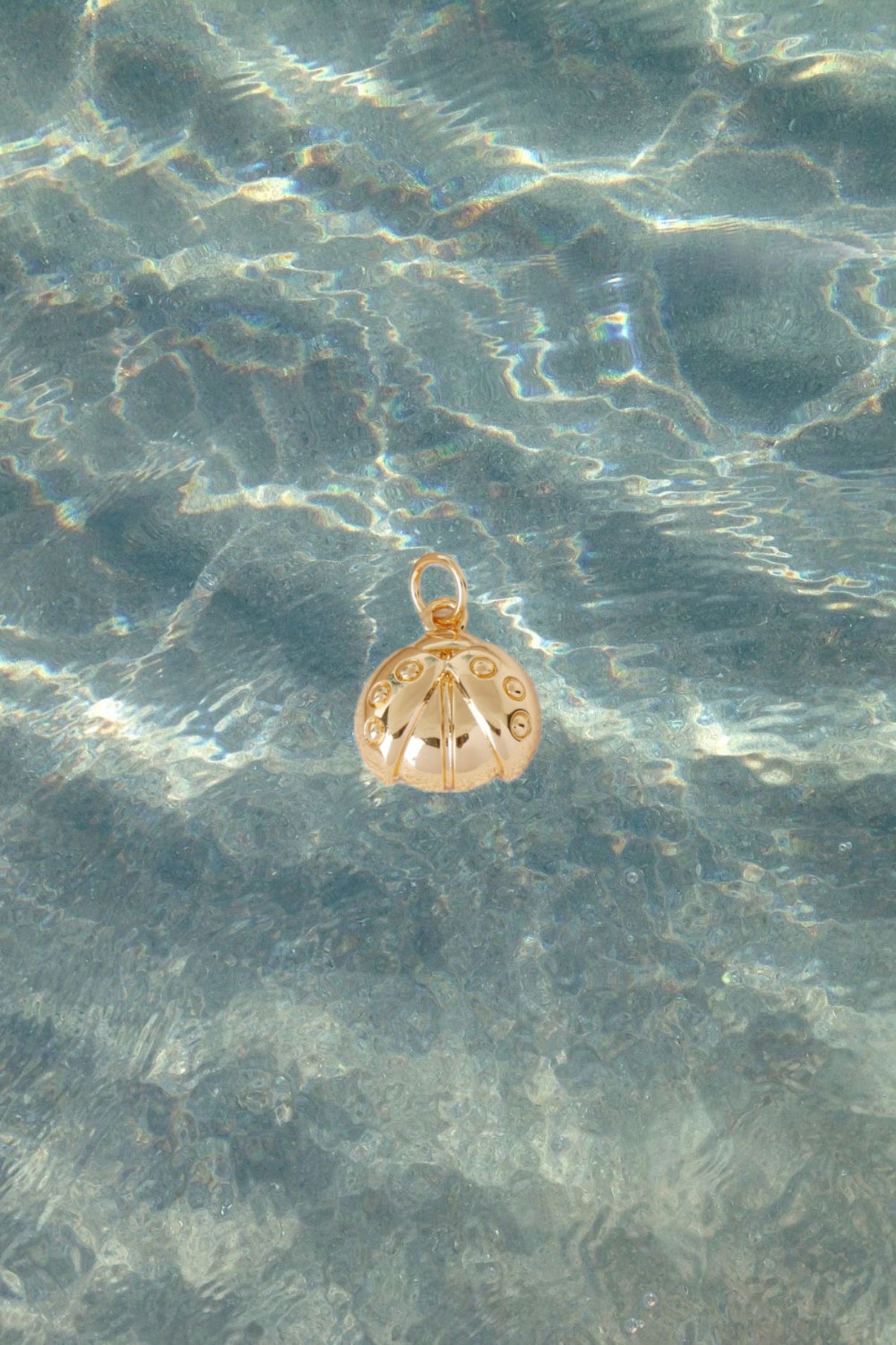 Ladybug Charm