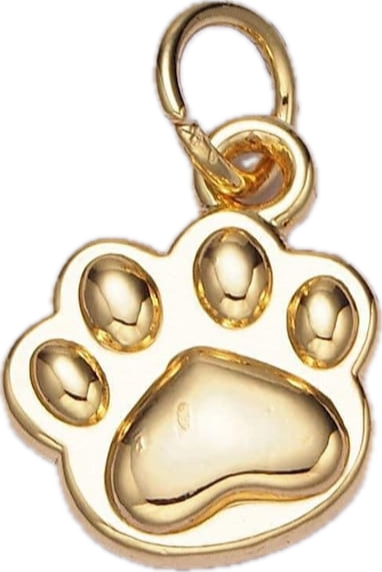Paw Print Charm