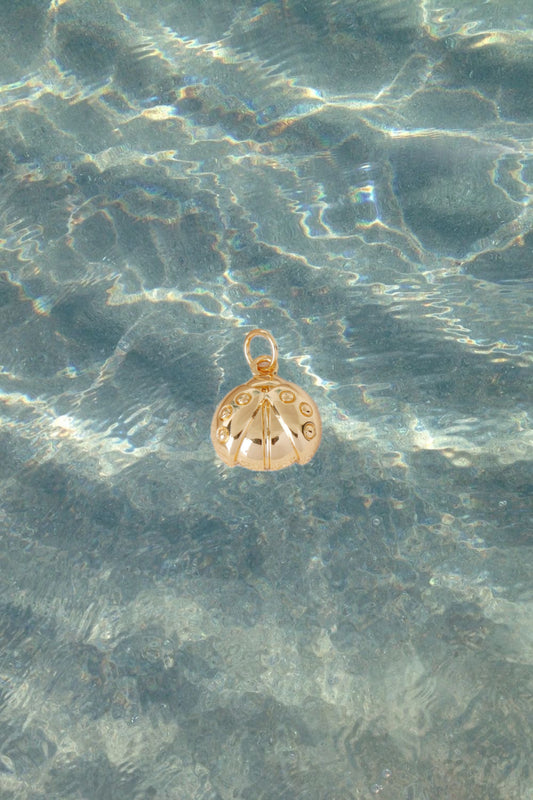 Ladybug Charm