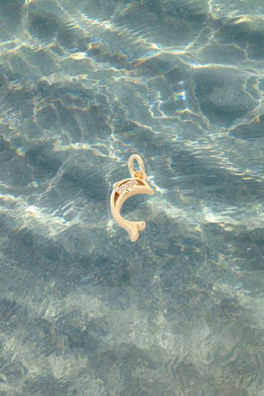 Dolphin Charm