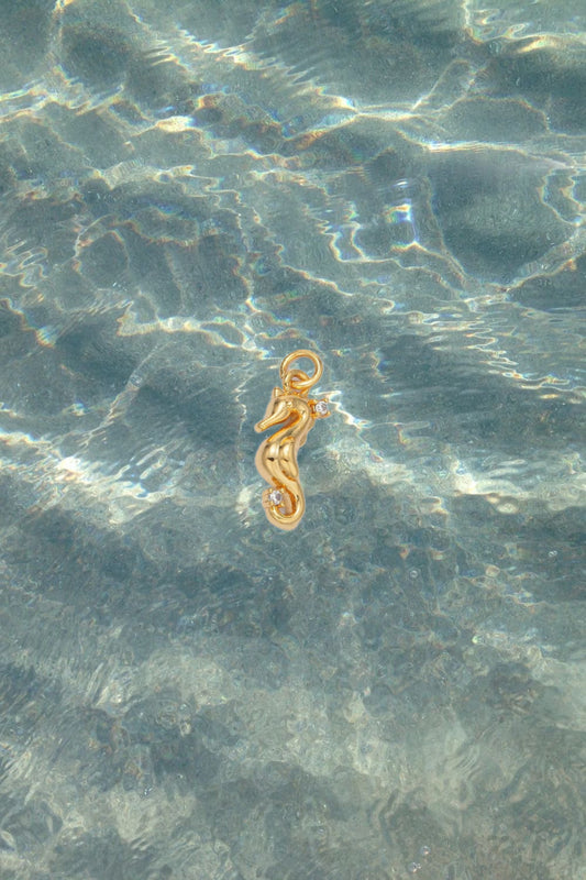 Seahorse Charm