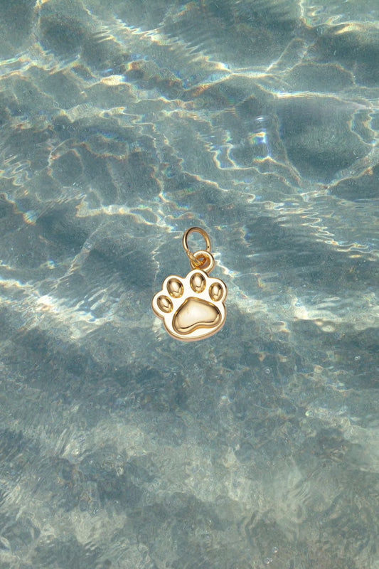 Paw Print Charm