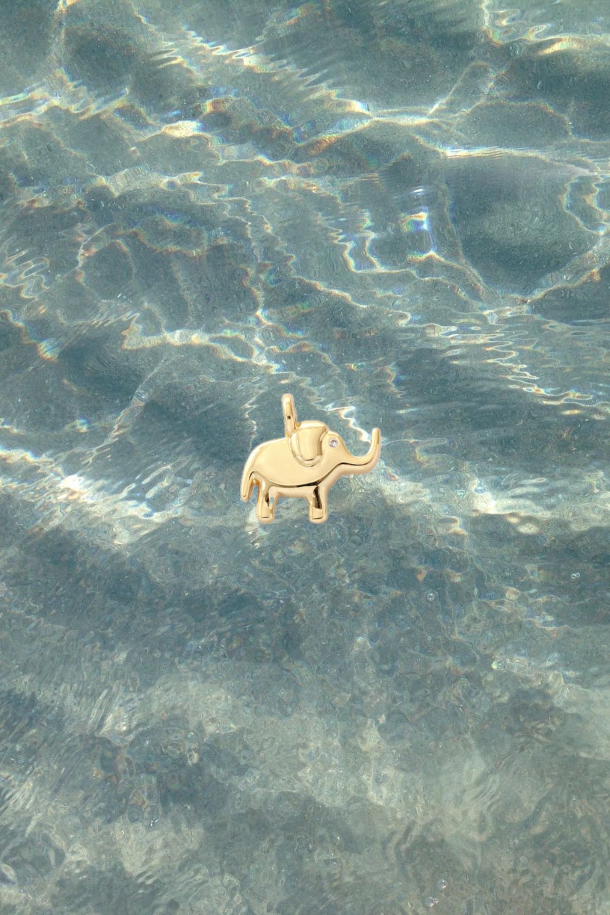 Elephant Charm