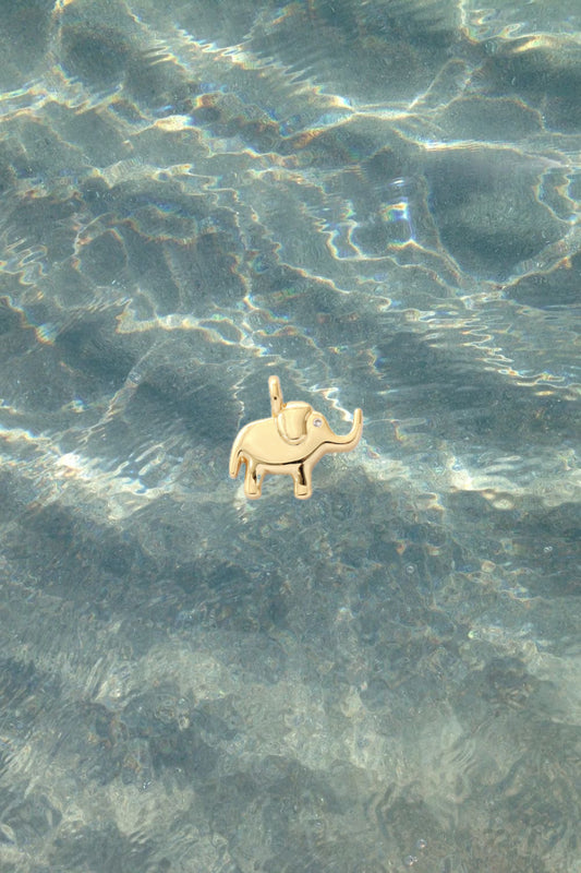 Elephant Charm