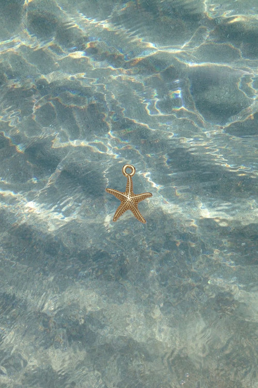 Starfish